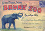 ZOO.jpg (162442 bytes)