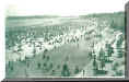 ORCHARDBEACH.jpeg (27545 bytes)