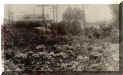 bronx2.JPG (53193 bytes)