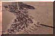 CityIslandAerial.jpg (17142 bytes)